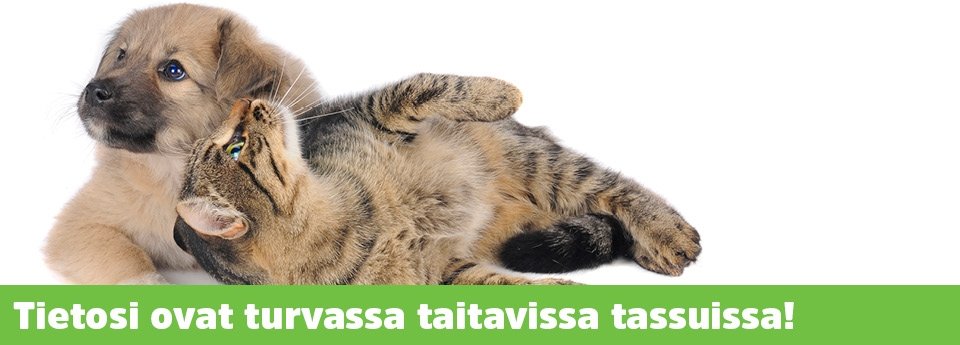 Lue lisää tietourvasta