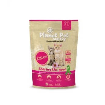 Planet Pet Society Kitten