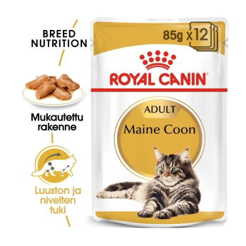 Royal Canin Maine Coon Adult Gravy kissan märkäruoka 12 x 85 g