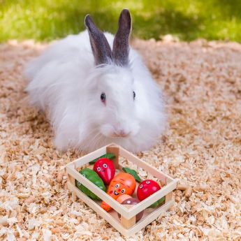 Quapas! Vihannelaatikko