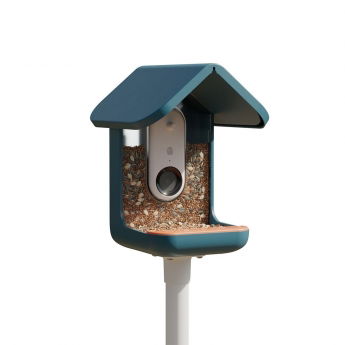 Bird Buddy -lintulauta kameralla