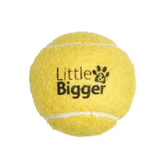 Little&Bigger Tennis pallo vingulla turkoosi S