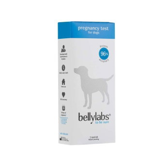 Bellylabs koirien tiineystesti