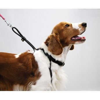 Feel Pull vedonestovaljas