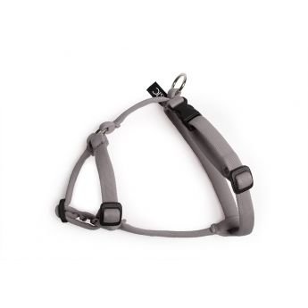 Basic Sweet Cat valjas harmaa