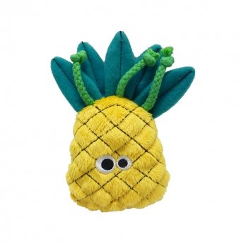 R2PPet MadCat Ananas