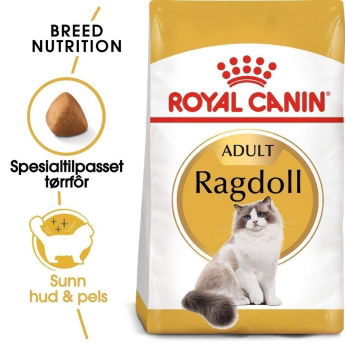 Royal Canin Ragdoll Adult kissan kuivaruoka