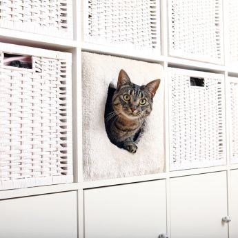 Trixie piilopaikka kirjahyllyyn (Harmaa)