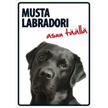 Lemmikkikyltti Musta labradori asuu täällä (21 x 15 cm)