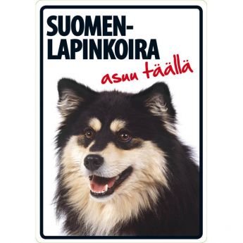 Lemmikkikyltti Suomenlapinkoira asuu täällä (21 x 15 cm)