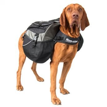 Non-stop Amundsen koiran reppu