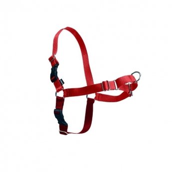 Petsafe Easy Walk reaktiovaljas pun