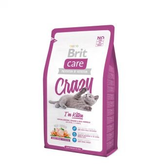 Brit Care Kitten Crazy