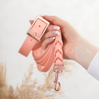 Tyylivoitto Braid koirantalutin, persikka/ruusukulta (16mm x 200cm)