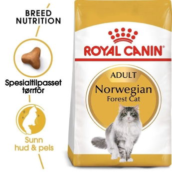 Royal Canin Norwegian Forest Cat Adult kissan kuivaruoka