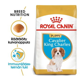 Royal Canin Cavalier King Charles Puppy koiranpennun kuivaruoka