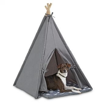 PCO Jubilee tiipii-teltta