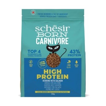 Schesir Born Carnivore silli & lohi