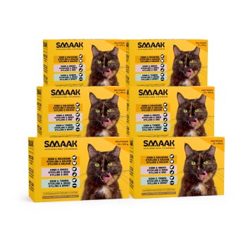 SMAAK megapack kissalle 72x100 g