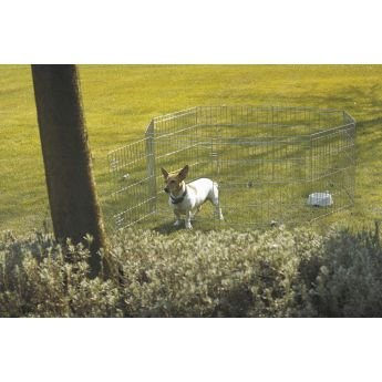 Savic Dog Park pentuaitaus