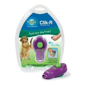 Petsafe Clik-R naksutin