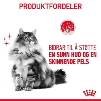 Royal Canin Hair & Skin Care