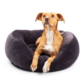 Basic Velvety peti tummanharmaa