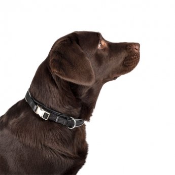 Feel Halo heijastinpanta pikalukolla musta