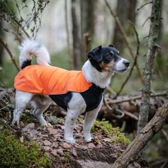 Feel Active Drammen koiran paita oranssi