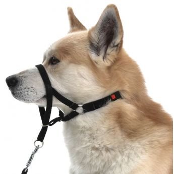 Karlie Master Control kuonopanta