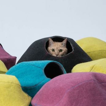 Lifeapp Cat-Cave peti