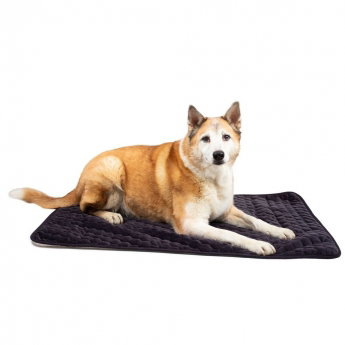 Basic Velvety peite tummanharmaa