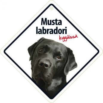 Lemmikkikyltti Musta labradori kyydissä (10 x 30 cm)