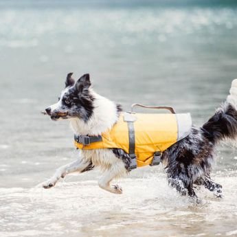 Hurtta Life Savior pelastusliivi oranssi