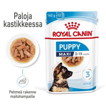 Royal Canin Maxi Puppy Gravy koiranpennun märkäruoka 10x140g