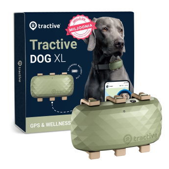 Tractive DOG XL – Koiran GPS ja terveysvahti isoille roduille, akunkesto 1 kk