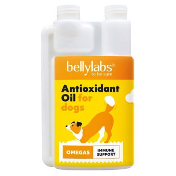 Bellylabs Antioxidantti&ouml;ljy 250 ml