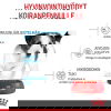 Royal Canin Mini Puppy koiranpennun kuivaruoka