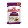 Royal Canin Sensory Smell Gravy Adult kissan märkäruoka 12x85g