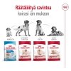 Royal Canin Medium Adult koiran kuivaruoka