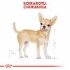 Royal Canin Chihuahua Adult koiran kuivaruoka