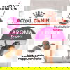 Royal Canin Aroma Exigent Adult kissan kuivaruoka