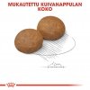 Royal Canin Maxi Adult 5+ koiran kuivaruoka