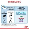 Royal Canin Mother & Babydog Starter Mousse märkäruoka nartuille ja vieroitettaville pennuille