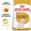 Royal Canin West Highland White Adult koiran kuivaruoka