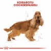 Royal Canin Cocker Adult