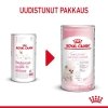 Royal Canin Babycat Milk maito kissanpennulle 300 g