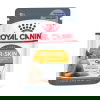 Royal Canin Hair & Skin Care Jelly Adult kissan märkäruoka