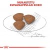 Royal Canin Mini Puppy koiranpennun kuivaruoka