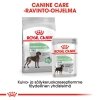 Royal Canin Digestive Care Maxi Adult koiran kuivaruoka